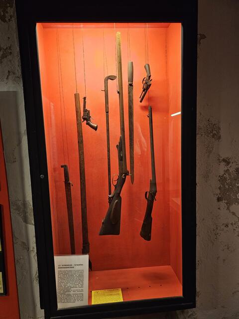 Foto: Tamara Winterthaler