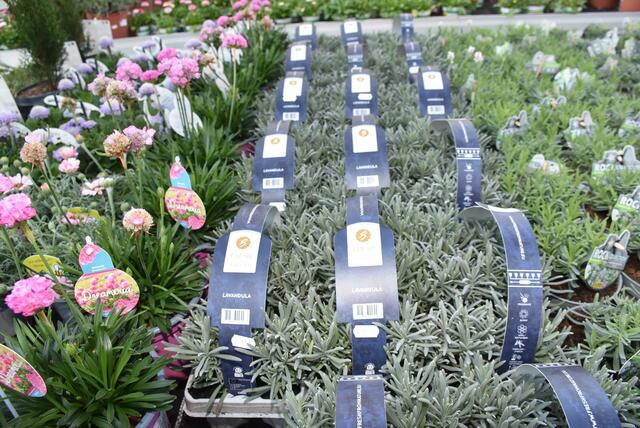 Foto: Robert Zinterhof