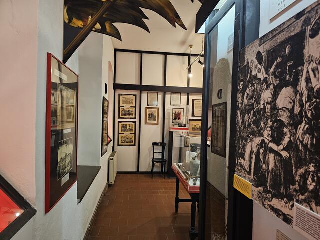 Foto: Tamara Winterthaler