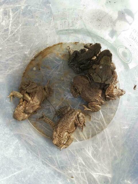 Foto: Hildegard Finsterle