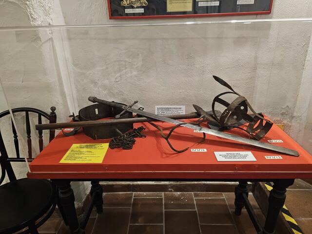 Foto: Tamara Winterthaler