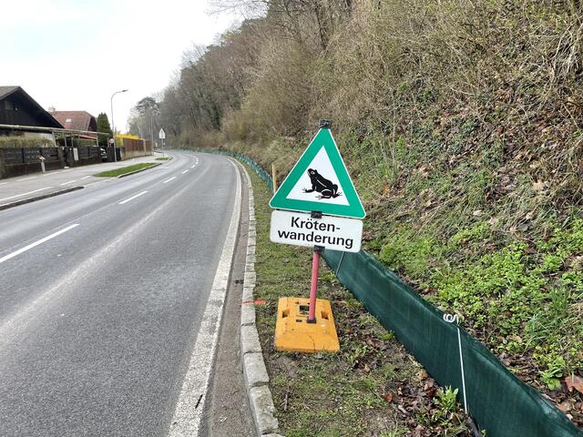 Foto: Victoria Edlinger