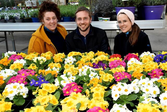 Am Josefitag wurde "ganz Grein" wieder zur Hausmesse: 20 Gewerbetriebe aus allen Branchen luden am Mittwoch, 19. März 2025, zum Besuch. | Foto: Robert Zinterhof