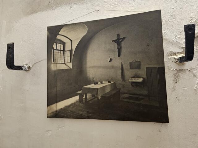 Foto: Tamara Winterthaler