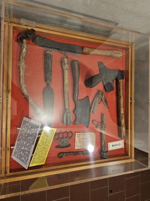 Foto: Tamara Winterthaler