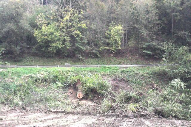 Damals-Foto: Aufgrund der starken Regenfälle im vergangenen September wurde das Erdreich unterhalb der Leitplanke so aufgeweicht, dass Bäume umstürzten und damit auch eine Hangrutschung auslösten. | Foto: B. Hofmann