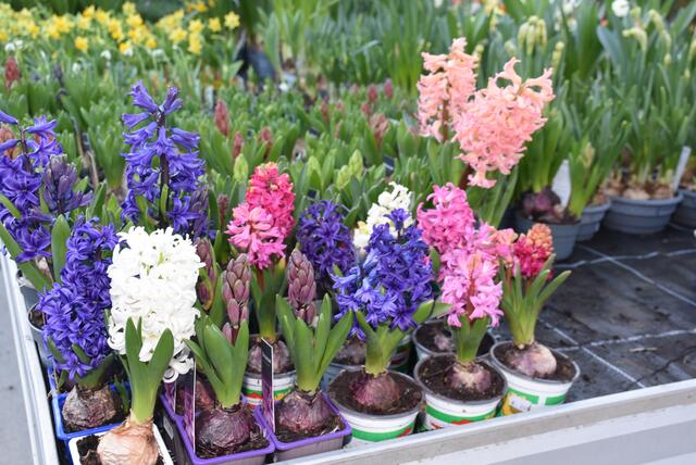 Foto: Robert Zinterhof