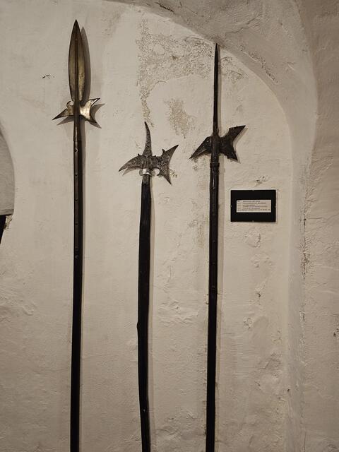 Foto: Tamara Winterthaler