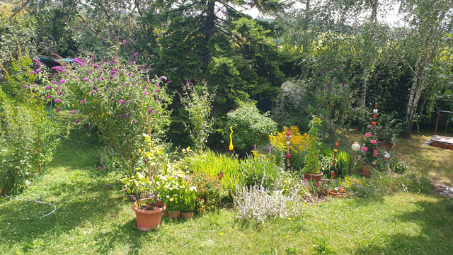 Der Naturgarten bietet Flora und Fauna ein schönes Zuhause.  | Foto: Renate und Franz Heinzl