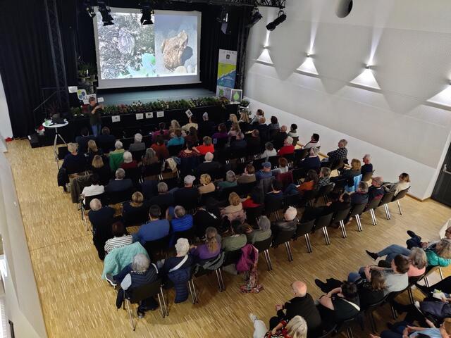 Foto: Katalin Bödi