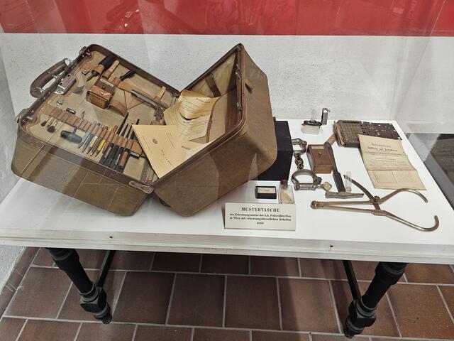 Foto: Tamara Winterthaler