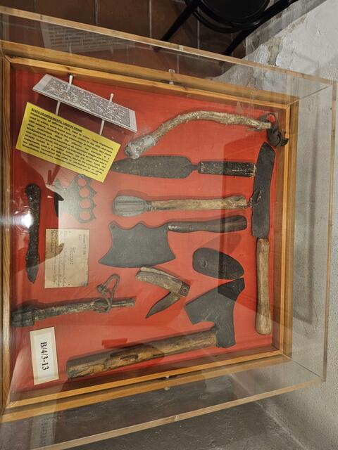 Foto: Tamara Winterthaler