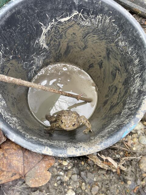 Da ist eine! | Foto: Victoria Edlinger