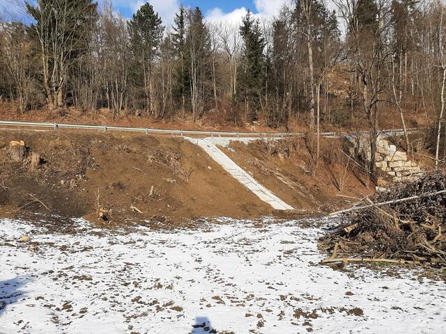Heute-Foto: Mitte und ganz rechts, | Foto: B. Hofmann