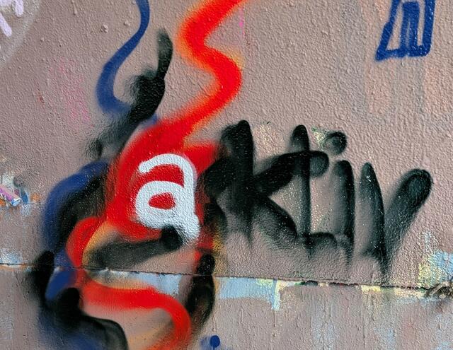 Auch die Mitglieder vom Verein Kitzbühel Aktiv haben ihre künstlerischen Spuren in der Mural Harbor Gallery, im Hafen von Linz, hinterlassen. | Foto: Künstlerin: Brigitta Peinsipp