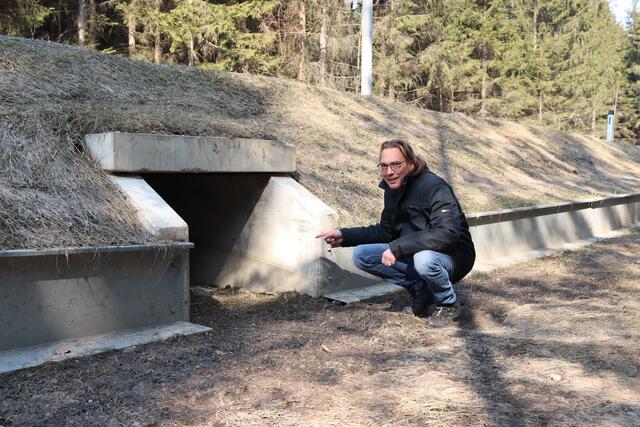 Martin Jaindl von der ARGE Naturschutz hat sämtliche Amphibienwanderstrecken und Tunnelleitsysteme im Bezirk Villach im Blick. | Foto: MeinBezirk.at