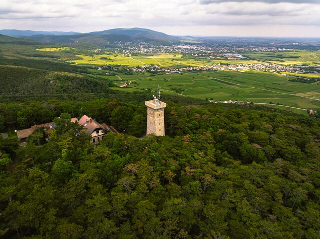 Die Kaiser-Franz-Josephs-Jubiläumswarte am Harzberg bei Bad Vöslau. | Foto: Wienerwald Tourismus/Sascha Schernthaner