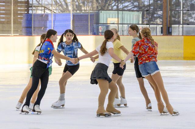 KunstläuferInnen | Foto: Starkl