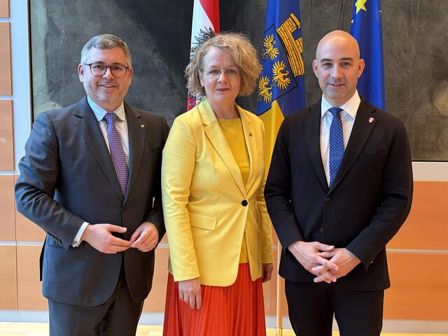 NÖs Gesundheitssystem muss für die Zukunft auf tragfähige Beine gestellt werden: dahinter stehen VP-Landesrat Ludwig Schleritzko, VP-Landesrätin Christiane Teschl-Hofmeister und FPÖ-Landesrat Christoph Luisser. | Foto: Sandra Schütz / MeinBezirk