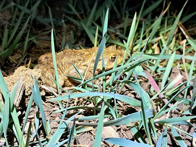 Foto: Martin Knapp/Nina Zabornik