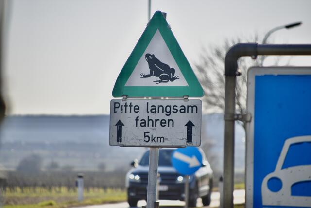 Von Feber bis Mai ist Vorsicht auf den Straßen geboten: die Krötenwanderung steht an.  | Foto: Stefan Schneider