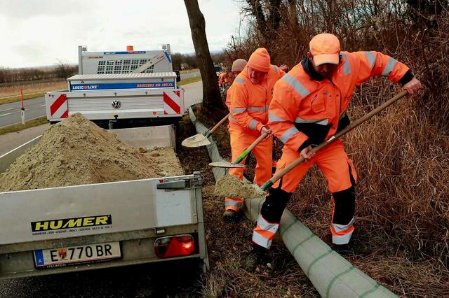 Ein großer Dank für die gute Zusammenarbeit ergeht an die Straßenmeisterei Eisenstadt, die auf den Landesstraßen die Zäune aufbaut und unter der Woche mitbetreut. In Sotzing gilt der Dank Oberforstmeister Peter Fischer, hier konnte veranlasst werden, einen Forstweg für die Wanderung zu sperren.  | Foto: Sabine König