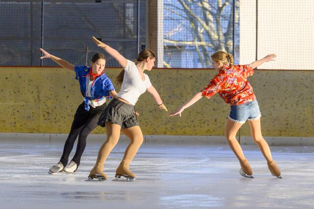 KunstläuferInnen | Foto: Starkl