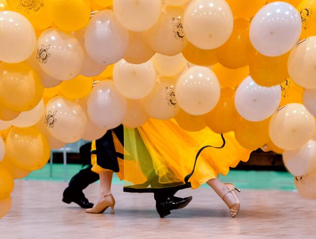 Der Gänserndorf-Cup | Foto: Regina Courtier