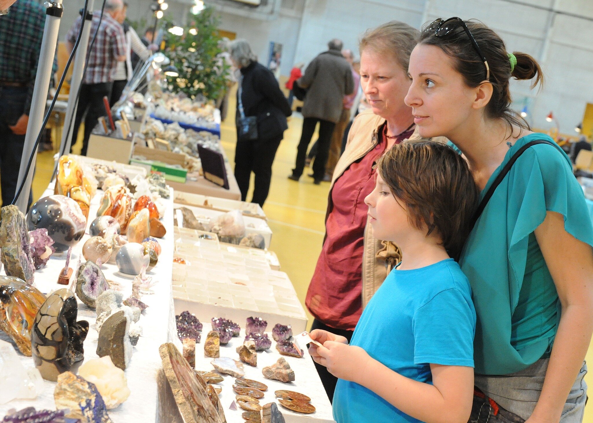 Fossilien, Funken, Faszination: Eggenburg feiert 30 Jahre Schatzsuche - ...