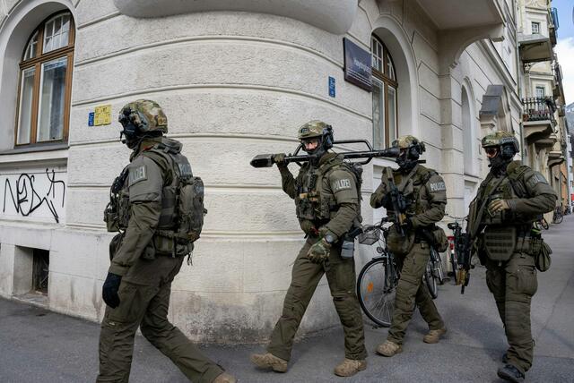Mehrere Festnahmen sollen bereits erfolgt sein. (Archivbild) | Foto: Zeitungsfoto.at
