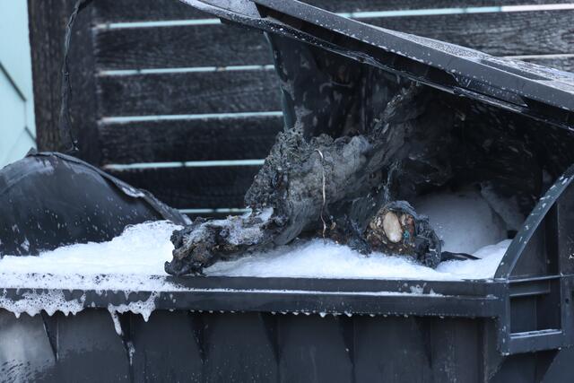 Brennender Altpapiercontainer in Wels-Lichtenegg: Durch das Einschreiten der Feuerwehr konnte ein Übergreifen der Flammen auf die Fassade verhindern.