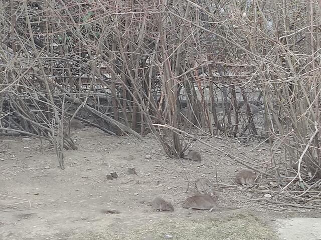 Foto: Erna Neumüller