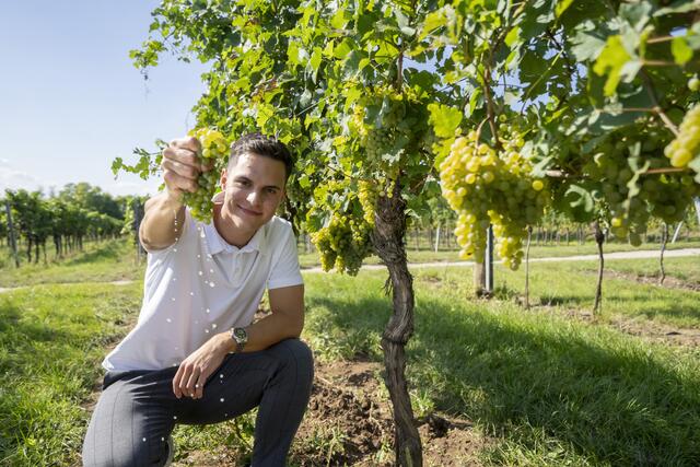 Jakob Paschinger ist der beliebteste Nachwuchswinzer Niederösterreichs.  Urbanihof | Foto: Urbanihof
