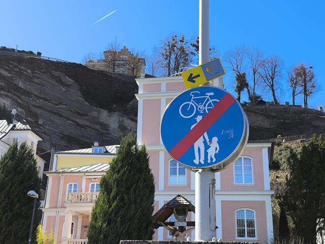 Jakobsmuschel beim Müllner Steg  | Foto: Martina Laserer 