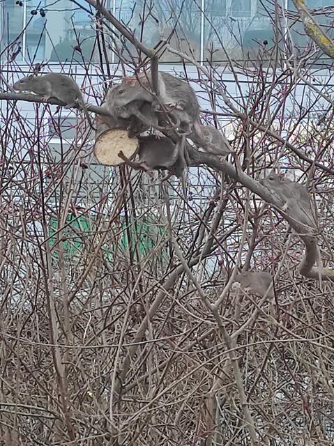 Foto: Erna Neumüller