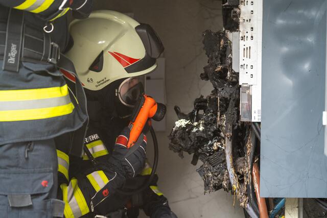 Foto: TEAM FOTOKERSCHI / MARTIN SCHARINGER