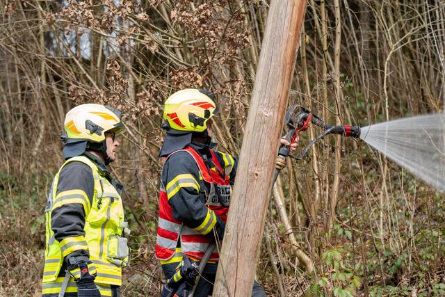 Foto: TEAM FOTOKERSCHI / MARTIN SCHARINGER