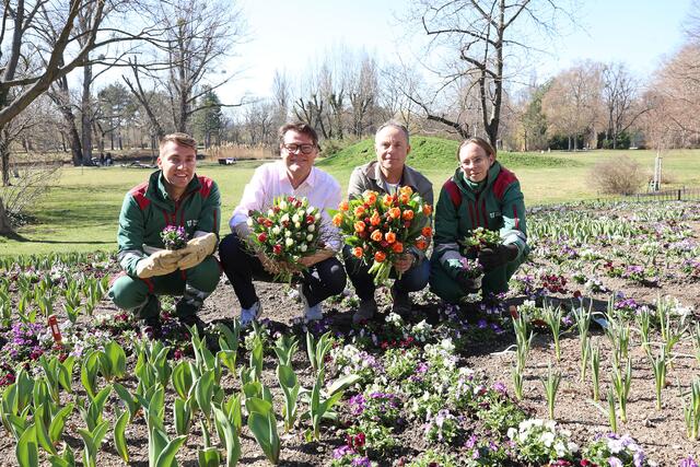 Frühjahrsblumen sind schon im Floridsdorfer Wasserpark zu sehen. Davon hat sich kürzlich Klimastadtrat Jürgen Czernohorszky (SPÖ, 2.v.l.) überzeugt.  | Foto: Stadt Wien/Martin Votava