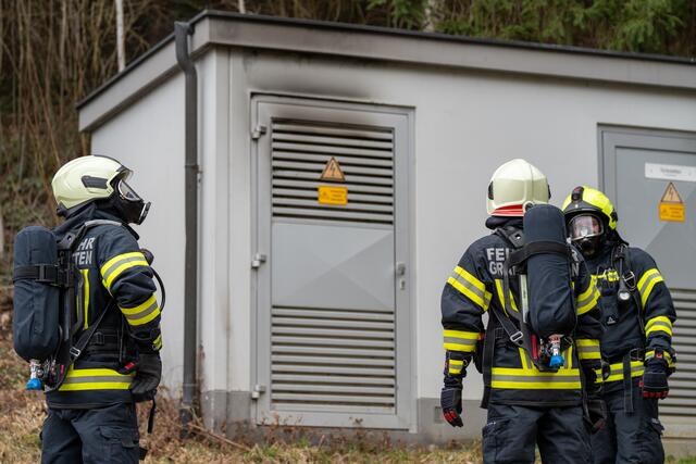 Foto: TEAM FOTOKERSCHI / MARTIN SCHARINGER