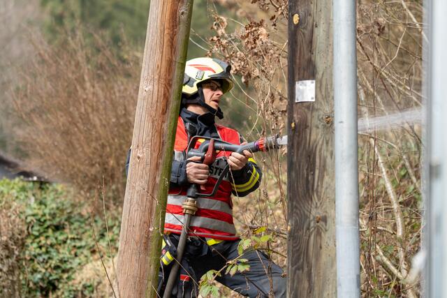 Foto: TEAM FOTOKERSCHI / MARTIN SCHARINGER