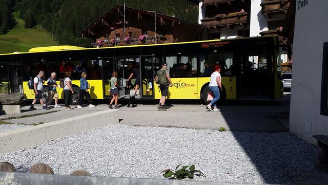 Die Mitfahrt von Hunden in öffentlichen Verkehrsmitteln ohne Maulkorb ist verboten! | Foto: Tiroler Bergwacht - Einsatzstelle Stubai