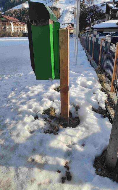 Manchen Hundehaltern ist nichts zu dumm. | Foto: Tiroler Bergwacht - Einsatzstelle Stubai