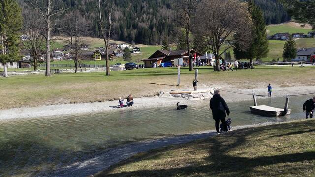  Nichts zu suchen haben Hunde im Kampler See - ausserdem strikter Leinenzwang und Maulkorbpflicht an öffentlichen Orten mit Menschenansammlungen! | Foto: Tiroler Bergwacht - Einsatzstelle Stubai