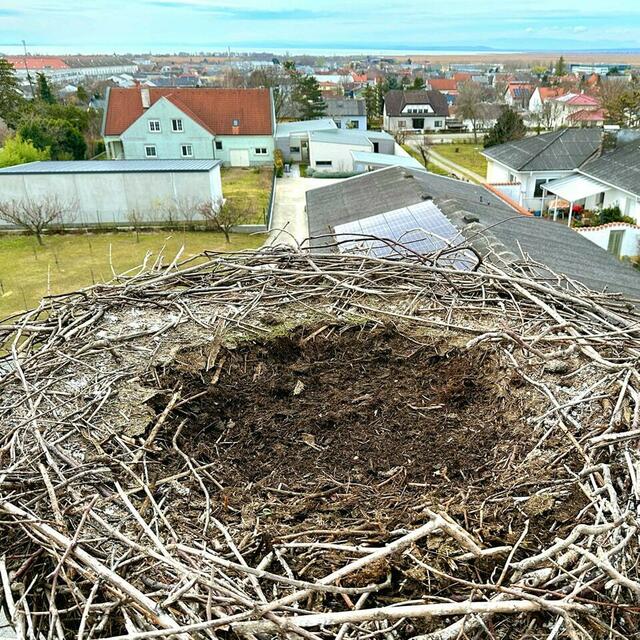 Die Reinigungsarbeiten müssen auf nächstes Frühjahr verschoben werden.  | Foto: Freiwillige Feuerwehr Neusiedl am See