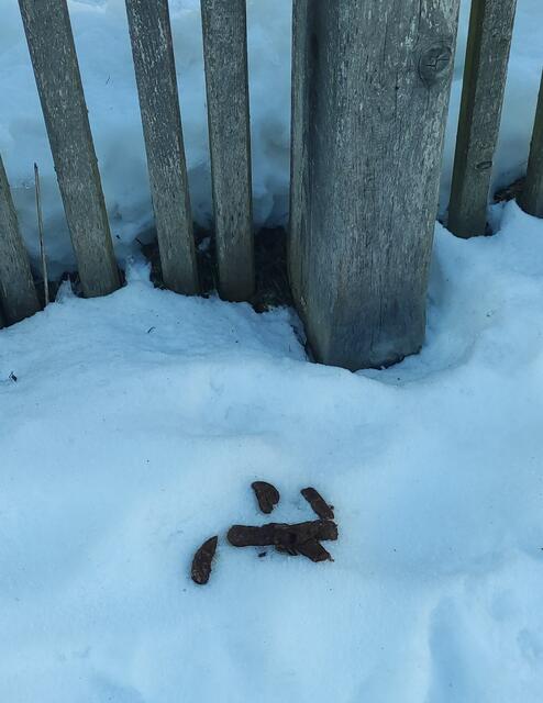 ... unübersehbare Hinterlassenschaften alle paar Meter. | Foto: Tiroler Bergwacht - Einsatzstelle Stubai