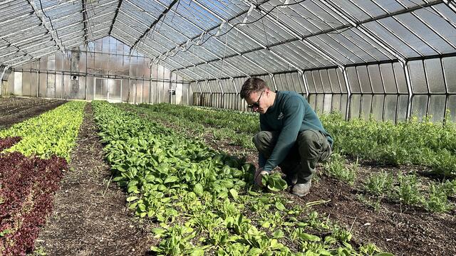 Florian, der ursprünglich aus München stammt, fand durch seine österreichischen Wurzeln und seine Leidenschaft für die Landwirtschaft seinen Weg ins Burgenland. Nachdem er ein Betriebswirtschaftsstudium abgeschlossen hatte, spürte er bald den Ruf zur Landwirtschaft, die ihn schon in seiner Kindheit faszinierte. Die Zeit in Kuhställen und auf Almen prägte ihn tief und führte ihn in die biologische Landwirtschaft. | Foto: Alejandra Ortiz