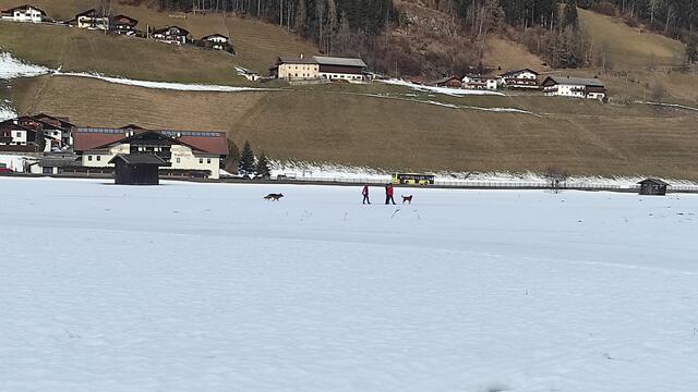 häufiges Bild auf den Feldern | Foto: Tiroler Bergwacht - Einsatzstelle Stubai