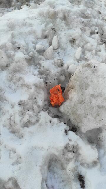 keine ordnungsgemäße Entsorgung | Foto: Tiroler Bergwacht - Einsatzstelle Stubai