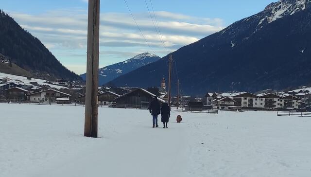 Freilaufender Hund - das kann zukünftig mit 25 EUR geahndet werden. | Foto: Tiroler Bergwacht - Einsatzstelle Stubai