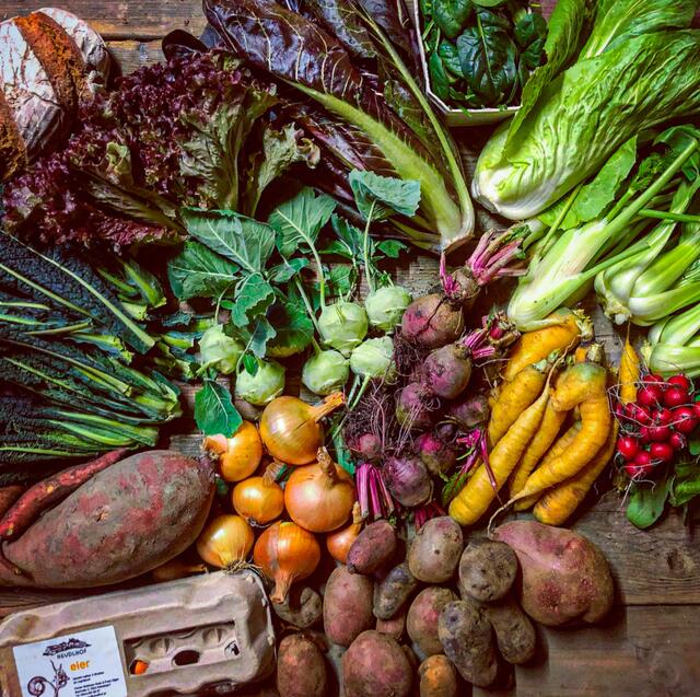 „Eigentlich bewirtschaften wir den Hof genau so, wie es sich viele wünschen würden – klein strukturiert, vielfältig und im Einklang mit der Natur. Wir achten auf die Umwelt, die Biodiversität und eine gesunde Bodenstruktur. Und genau dafür ist die solidarische Landwirtschaft ideal", führt Florian weiter aus. | Foto: Neudlhof